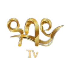 download__6_-removebg-preview